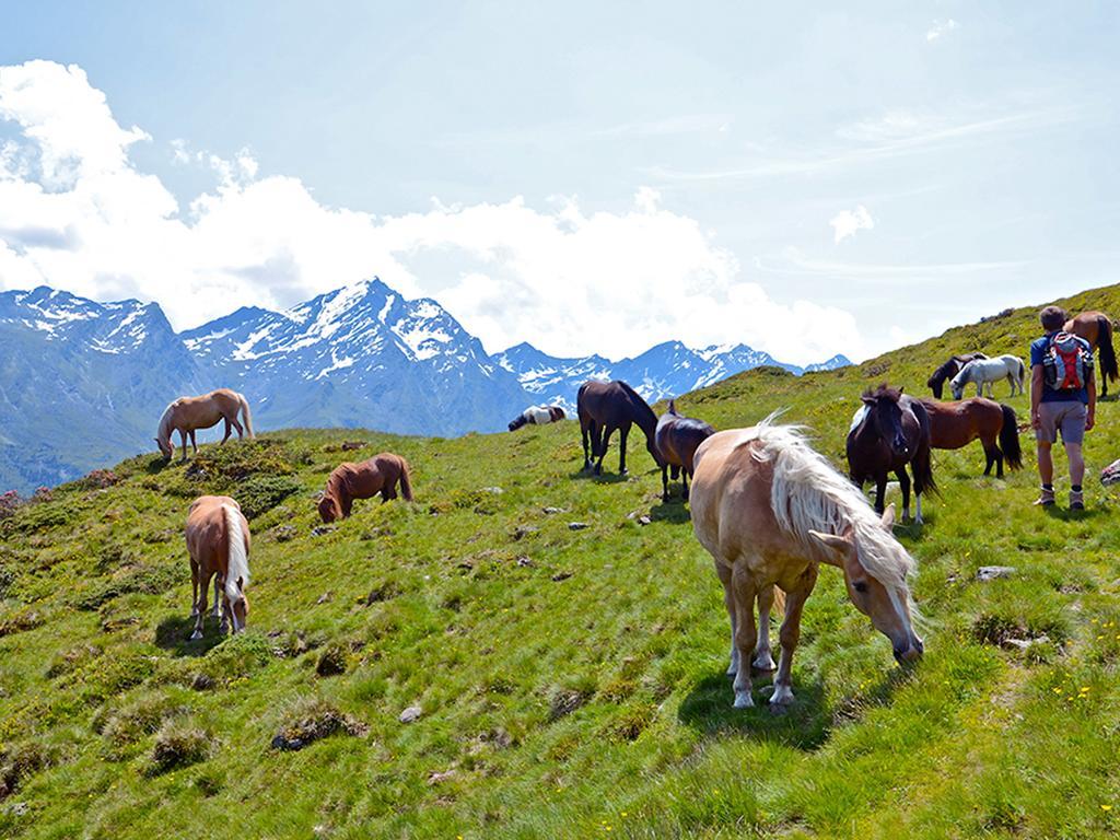 Alpengasthof Praxmar Sankt Sigmund im Sellrain Exteriör bild